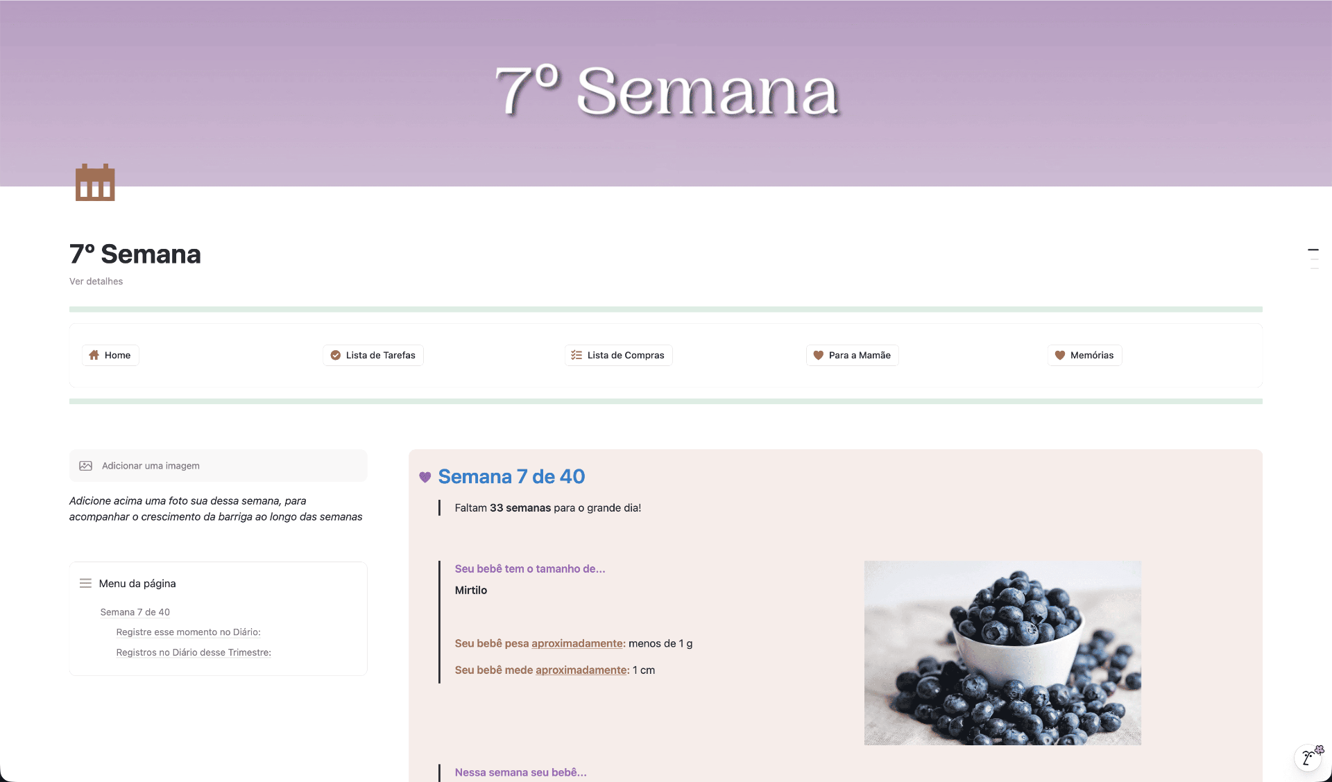 Diário de gestação semana a semana